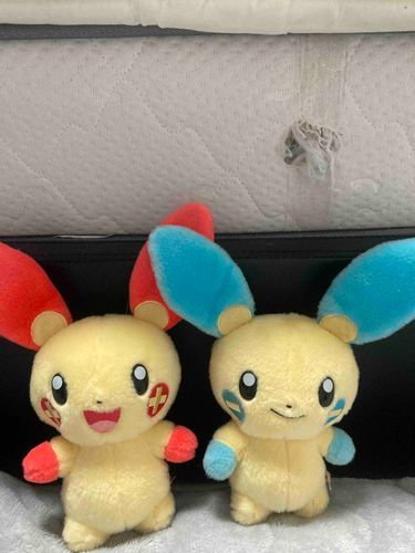 マイナンとプラスルは応援ポケモン今日も頑張れーと言っているかも！