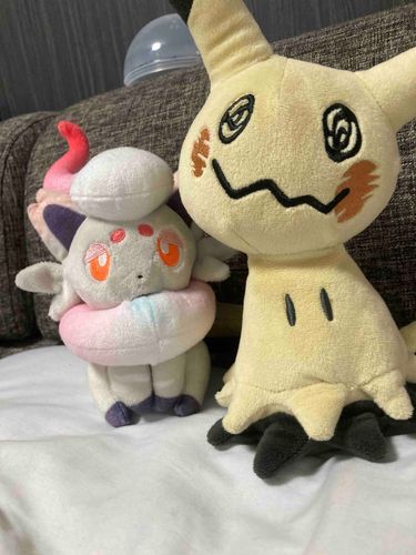 この二人相性がすごくいい(ᐢ⸝⸝>̶̥̥̥᷄ ·̫ <̶̥̥̥᷅⸝⸝ᐢ)꜆꜄💕