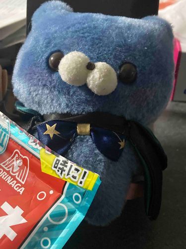 長です☆
1番最初にお迎えした子だよ！