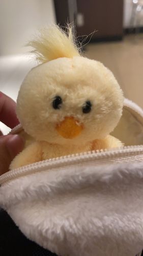 別アカウントに投稿する事にしました！
言うの忘れてて()
なのでこれは見る専にします(投稿は残す)はーくよろしく！