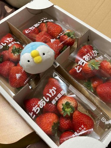 イ・チ・ゴ〜♪
昨日、送られてきたんだけど、めちゃくちゃ甘くておいしい！
これは一気に食べちゃいそう♪