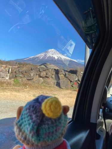 今日…2月23日は《富士山の日》なんだって！
富士山の日に産まれた天皇陛下さんは、本当に日本一だよね！
お写真はお正月に飼い主の実家へ里帰りした時のだよ。きれいなお山さんだったなぁ。
トゥル、いつか富士山に登ってみたいニャ！

飼い主「富士登山なんて私はしないよ」

えーーー！！！
飼い主の怠け者！