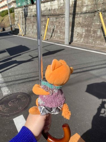 おっでかけ〜♪♪♪
いつもはバッグの中だけど、いい天気だし、平日で人も少ないから、飼い主の日傘につかまってお外を楽しんだニャ♪ すっかり春の空気だね〜。ウキウキしちゃうニャ♪
飼い主は「今年初の日傘…またコレを使う季節が来たかぁ(ｰ ｰ;)」って言ってる。
ニンゲンもぬいと同じで、紫外線には要注意なんだニャ。