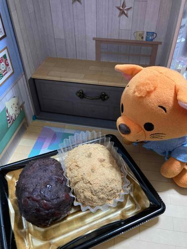 飼い主がおはぎ？…ぼたもち？…買ってきたニャ。
トゥルはプリンとかの気分だったな〜…って言ったら、「今日はぼたもちを食べる日なんだよ」って教えてくれたニャ♪ トゥル、知らなかった〜！
そんでね、商品名は《おはぎ》って書いてるけど、春は《ぼたもち》ってお名前が変わるんだって！！！ 
不思議な食べ物だぁ。

…まっ、美味しければなんでもOKなんだけどね。