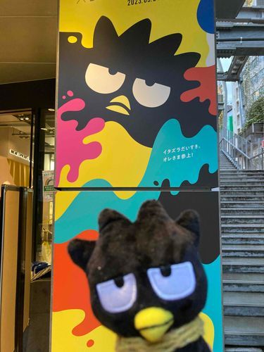 今日の飼い主はね、渋谷の宮下パークで開催してる《バッドばつ丸30周年》のイベントに行ってきたみたい。 
最近の飼い主はサンリオブームが到来してて、中でも昔から好きなばつ丸くんに夢中なんだよね。かっこいいもんねぇ♡
ばつ丸くん推しの影響で、近頃ははぴだんぶいにも夢中になってる…
トゥルやディズニーのことも忘れないでおくれ！って言いたい…