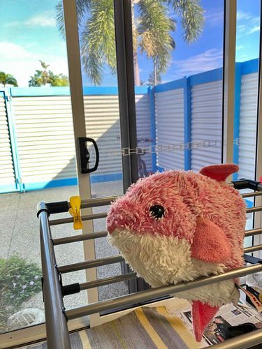 シャワーを浴びました
2日くらいでおふとんに戻れるかなぁ