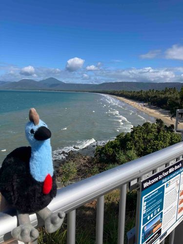 楽園だな〜🏝️