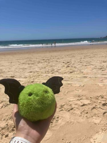 まっちゃくんビーチデビュー🏖️✨
きれいだー