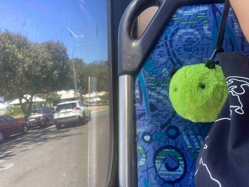 まっちゃくんバスに乗る🚌