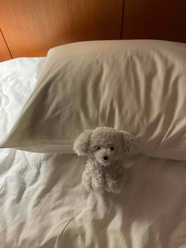 きょうはホテルでねるよ。おんせん入りたかったな…