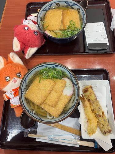 きつね！うどん！🦊