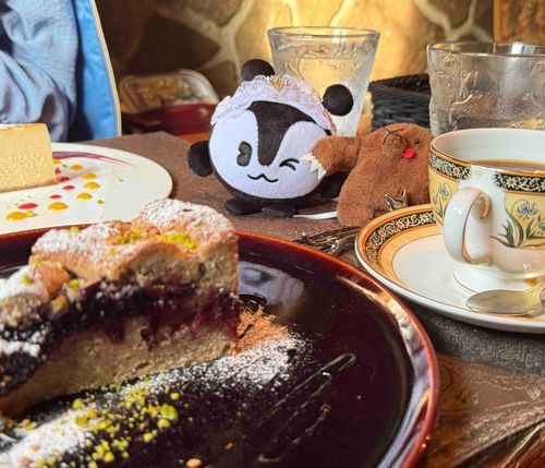 お友達のもぐらさんと一緒に食べたリンツァートルテはベリーソースが効いててスパイスが香って美味しかったね🎶