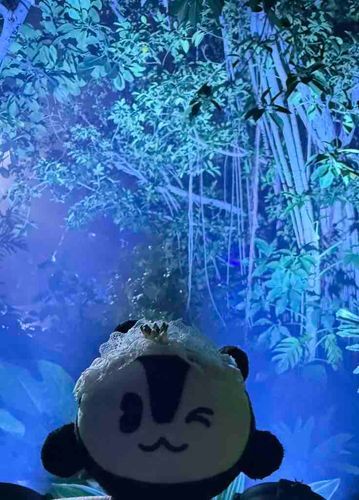 夜の植物館は幻想的だったね🌿✨