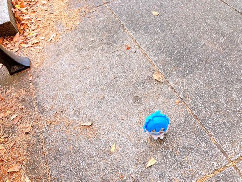 うろうろ うろうろ

あし が つかれた で ござる …