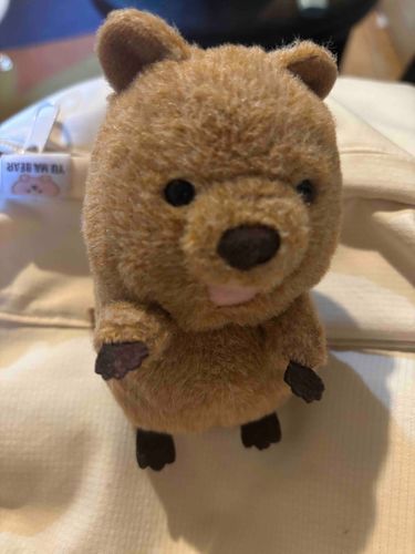おい　げんき　か？　みんな
みんなの　おなまえ　おしえて　ほし