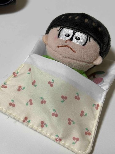 ちょろ、おふとんだよ