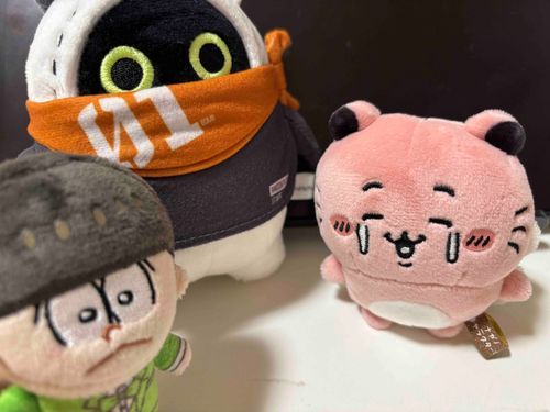ちょろ、新入りだよ