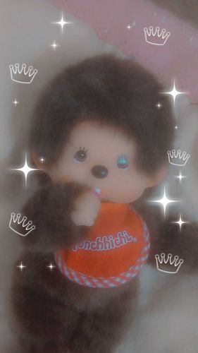 今日からよろしくお願いします‼️   
これからモンチッチ🤎のことをいっぱい撮っ足りしたりするのでフォローとかしてくれたら嬉しいです！これからよろしくお願いします！！