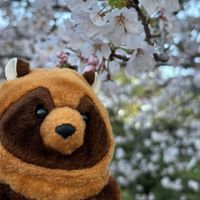 たぬん