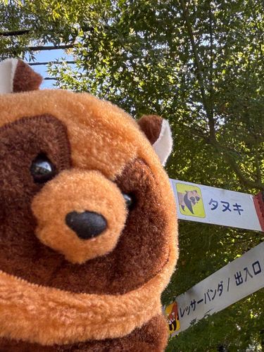 自己紹介！