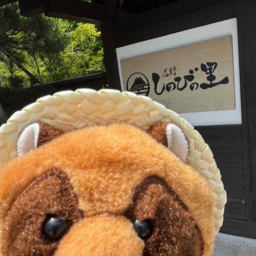なにぞ楽しそうな所にきた！！！
そういえばたぬんは麦わら帽子を手に入れた！！すずしくてよい！