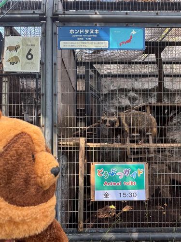 うめぇもん貰ってた！たぬんにもくれよ！！！