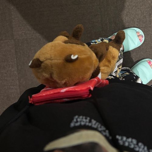 ほてるの中は主がこーやって連れ歩いてくれてる！