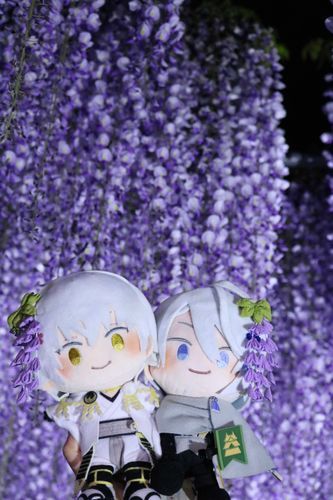 よるのふじ、きれいだね
友人のわんぱくなつるまると