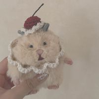 こむぎ