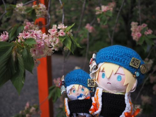 大『いろ、かわる、さくらっ！
あるじ、すきな、さくらっ！』

ゆび『先週はまだ黄色かったが、無事にぴんくに染まったところも見られたな。
今年もこの桜が見られて良かったな』

大『きいろ、ぴんく、どっちも、きれいっ！』