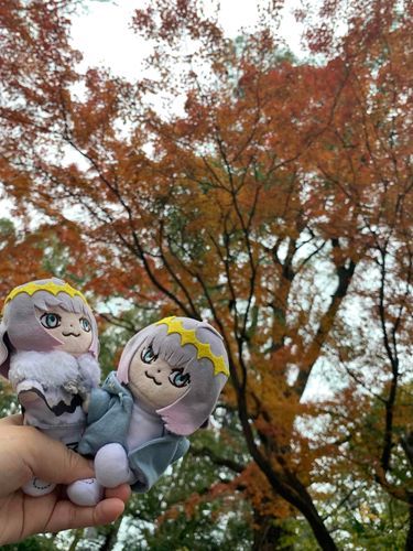 もみじは綺麗…だけど、飼い主の持ち方がらんぼうすぎて僕とっても恥ずかしいかっこうになっちゃった…。
ちいさくてかわいいものにはやさしくって教わらなかったのかなぁ！？