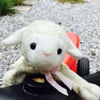 めいこ