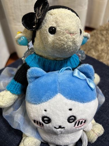 ネコ飼いはじめたメ〜🐏🐈