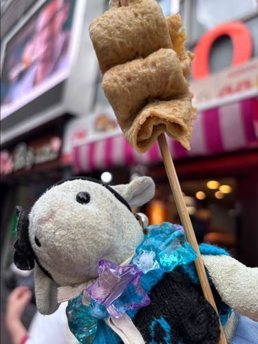 新大久保に初上陸したメ〜🐏🇰🇷