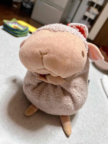 こんばんは　よしこや
せかいでいちばんかわいいねんで
好きなたべもんは　にくや