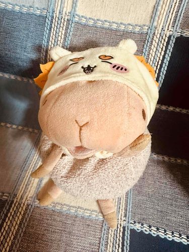 こんばんは
これはいまお気に入りの、謙虚なよしこにはピッタリのぼうしや
声優さんにでもなろかな？

歯みがいて
はよねぇや