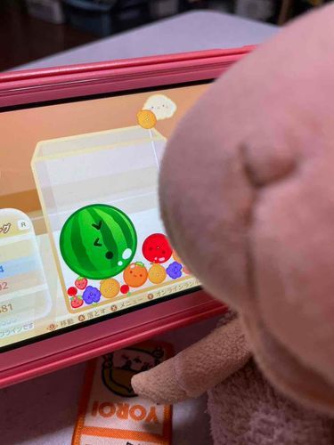 コメントやいいね、ふぉろーありがとうな。
スイカできたときの自撮りでものせて今日はねるわ。
やっぱり他撮りより自撮りのほうがもれるよね〜🐏
