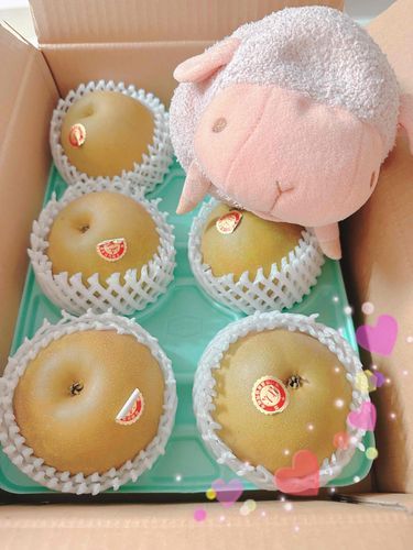 にくでもソーセージでもない
つまらないものですが🍐