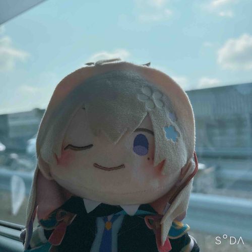 主とお出かけに行くよ