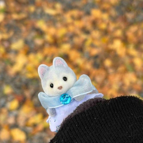 きれいな落ち葉だね、