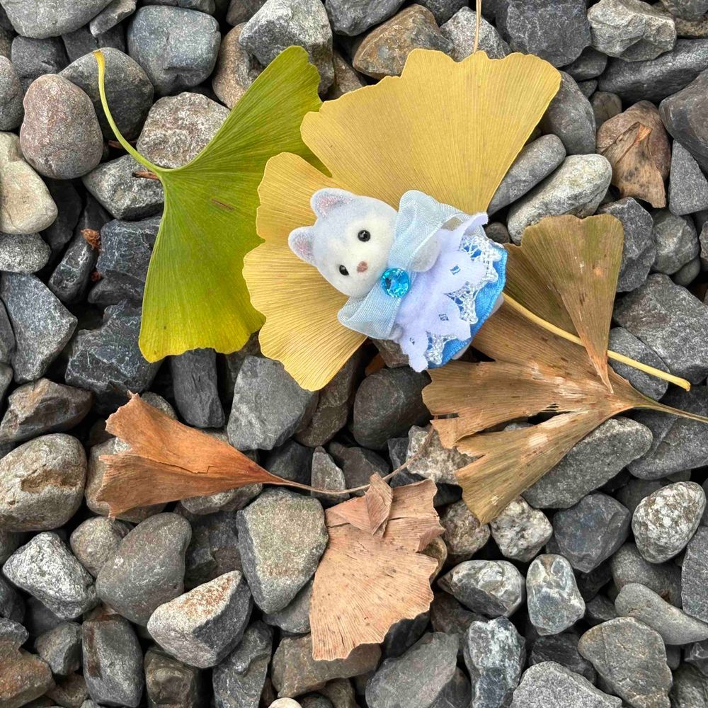 きれいな落ち葉だね、