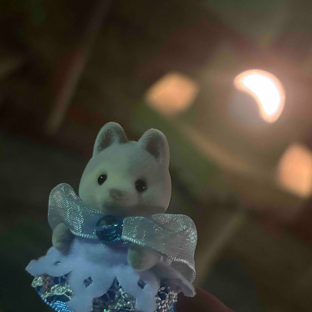 あけましておめでとうございます！
本年もよろしくお願いします。