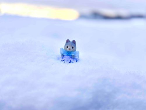 ⛄️