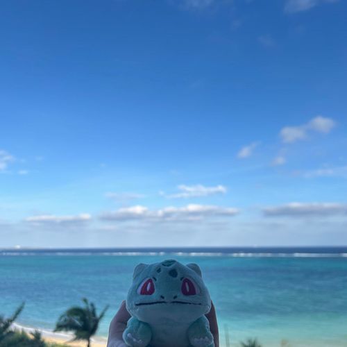 海だああああ🌊🌊🌊