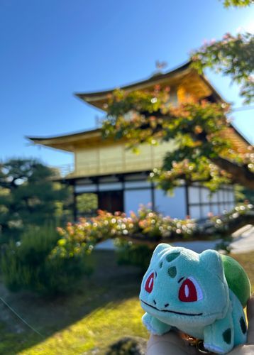 金閣寺に来たよ