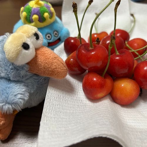 さくらんぼ食べまする