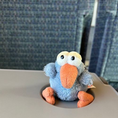 サンダーバードに乗って金沢に行くよ