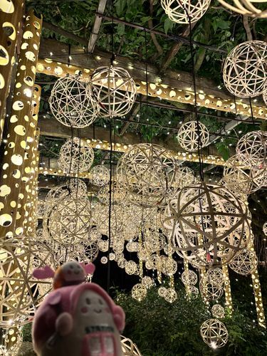 竹あかりと大名庭園が素敵でーす‎٩(⁎╹ᴗ╹⁎)♡