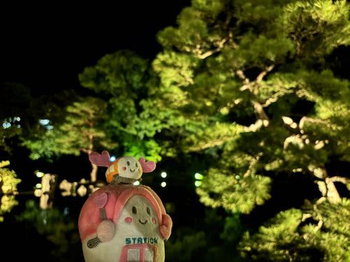 立派なクロマツでーす‎٩(⁎╹ᴗ╹⁎)♡