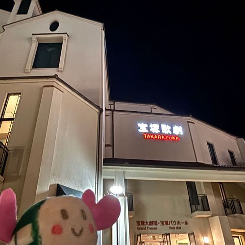 宝塚大劇場で星組さんの『RRR』を観ましたー‎٩(⁎╹ᴗ╹⁎)♡
初宝塚初1人遠征とってもドキドキだったけど無事大成功で感無量でーす‎！
宝塚の世界…豪華絢爛でーす‎٩(⁎╹ᴗ╹⁎)♡